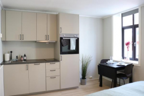 One-bedroom apartment close to NTNU and St Olavs